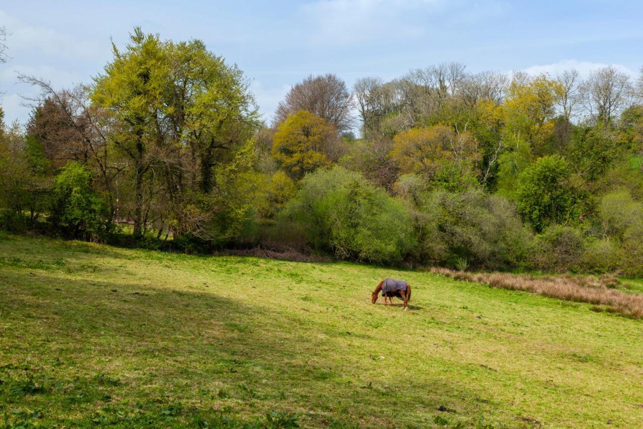 Southcott Farm Cottage Honiton Luaran gambar