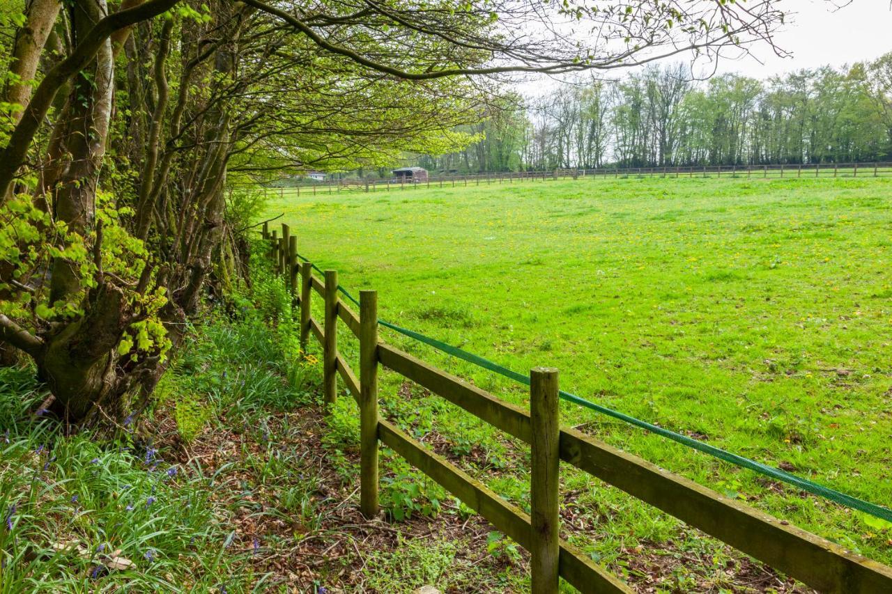 Southcott Farm Cottage Honiton Luaran gambar